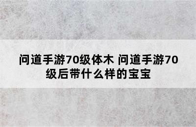 问道手游70级体木 问道手游70级后带什么样的宝宝